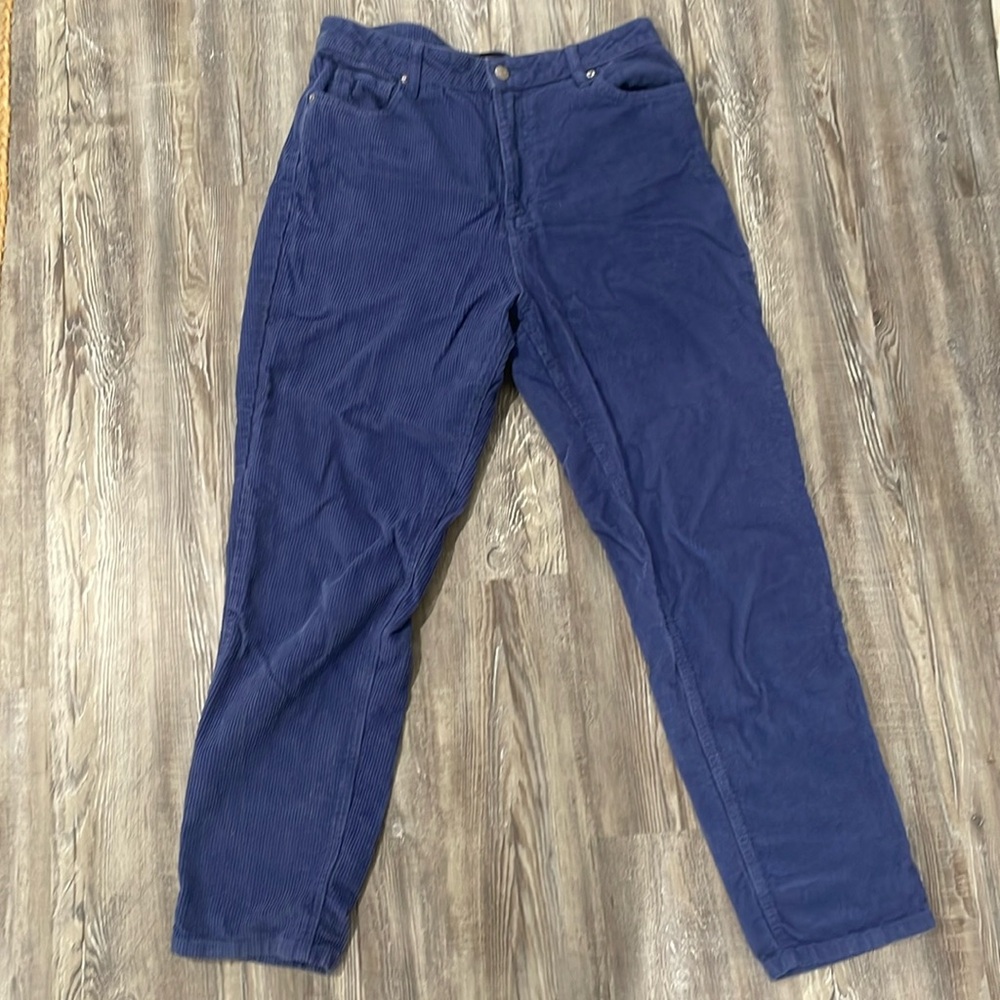 Urban Outfitters BDG corduroy blue straight leg, 30